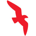 Air Arabia